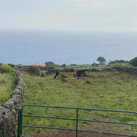 Luzz Me - Casa Appartement *