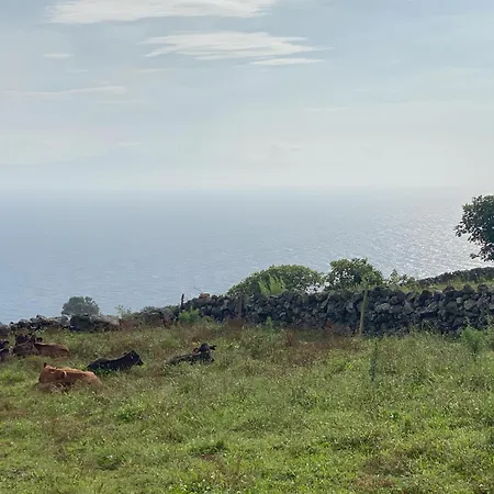 شقة Luzz Me - Casa *