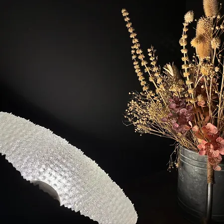 Luzz Me - Casa شقة Doze Ribeiras